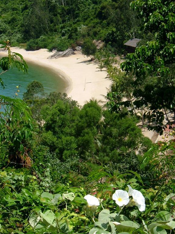 Eden Homestay Хоян Екстер'єр фото